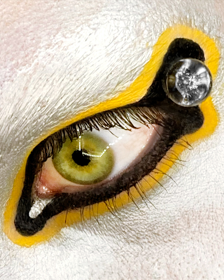 Macro shot of an eye with yellow and black graphic liner designs on silver skintone
